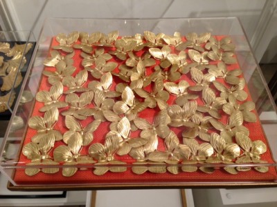 butterflies-case